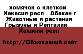 хомячок с клеткой - Хакасия респ., Абакан г. Животные и растения » Грызуны и Рептилии   . Хакасия респ.